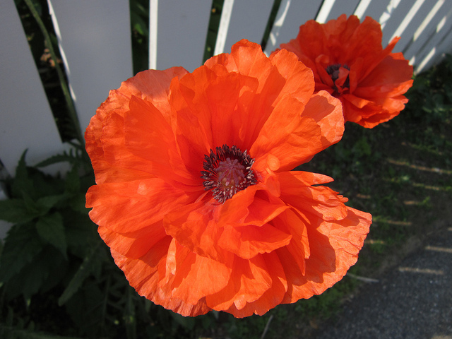 Day 148: May 28, 2011